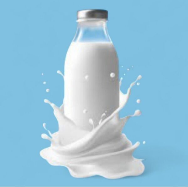 তরল দুধ | liquid Milk